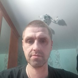 , 42, 