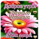���� ����, ����� - ��������� 15 ��� 2025 � ������ ������ ��������