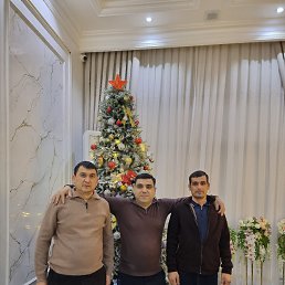, 37, 