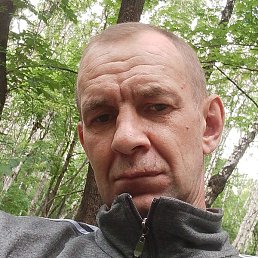 �����, ������ ��������, 43 ����