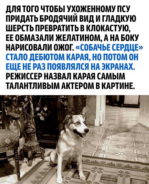 Один из лучших фильмов экранизированный по книге - 3