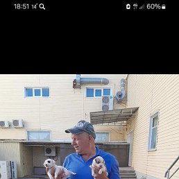 ������, ���������, 60 ���