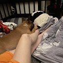 ���� �������, ������, 52 ���� - ��������� 14 ���� 2026 � ������ ������ ��������
