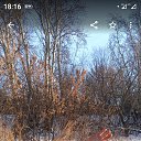 ���� �����, �������, 60 ��� - ��������� 1 ������ 2025 � ������ ���� ����������