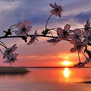 ���� �������, ������ - ��������� 1 ������� 2025 � ������ ������ ��������