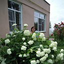 ���� �������, �������, 68 ��� - ��������� 14 ������ 2025 � ������ ������ .�