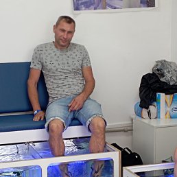 �������, 49 ���, ���������