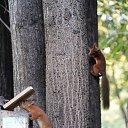 ���� ����, ������, 59 ��� - ��������� 19 �������� 2024 � ������ ������ ��������