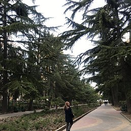 ����������, ���������, 48 ���