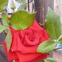 ���� ��������, ����, 74 ���� - ��������� 10 ������ 2025 � ������ ���� ����������