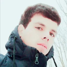 , 29 , 
