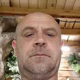 ������� �������, ���������, 45 ���