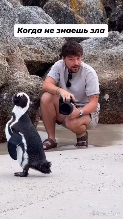 �� �������� �� �������� � ... �������������