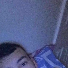 , 29, 