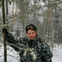 �������, 41 ���, ���������