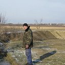  ,  , 38  -  11  2024    