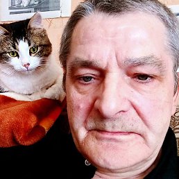 ��������, ���, 65 ���