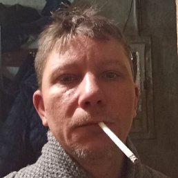 ������, ����������, 41 ���