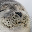 ���� ������, ������, 33 ���� - ��������� 27 ������ 2024 � ������ ���� ����������