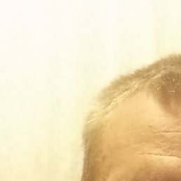 �������, ������, 36 ���