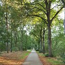 ���� Irina, ������ - ��������� 12 ������ 2023 � ������ ���� ����������