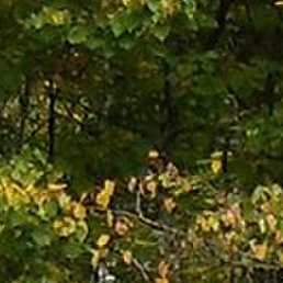 ������, �������, 57 ���