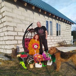 �����, �����-���������, 51 ���