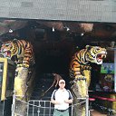 ���� ����, ��������� - ��������� 15 ��� 2025 � ������ ���� ����������