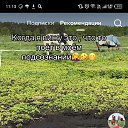 ���� ����� �������, ������, 24 ���� - ��������� 20 ��� 2024 � ������ ���� ����������