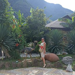 �����, �����������, 60 ���