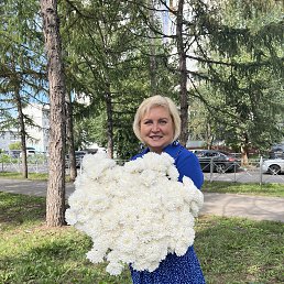 ���� �����, ����, 55 ��� - ��������� 19 ������� 2024