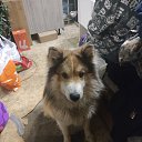 ���� �����, �����-���������, 56 ��� - ��������� 4 ������ 2026