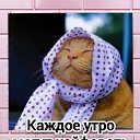���� �����, ������ ����� - ��������� 26 ����� 2026 � ������ ������ ��������