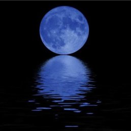 ������, �������, 56 ���