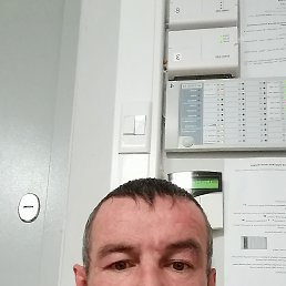 , 43 , 