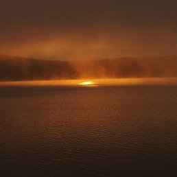 ����, �����������