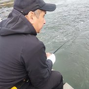 ����� �����, 38 ���, �����������