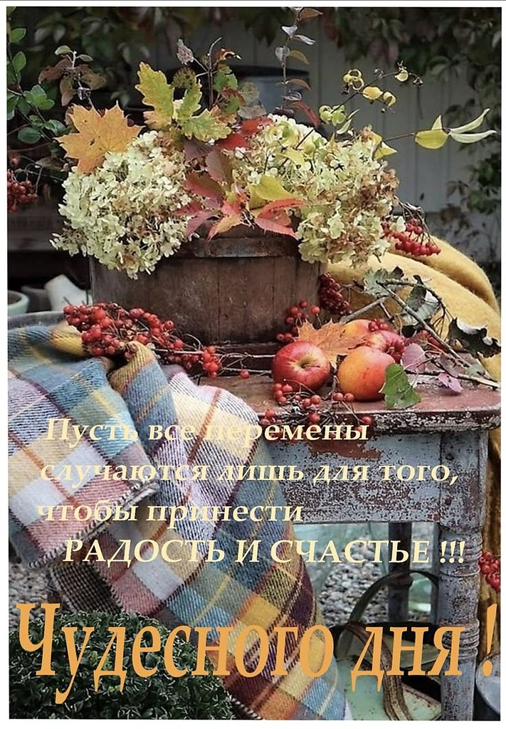   ! - 21  2025  09:31