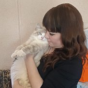 �����, 39 ���, ��������