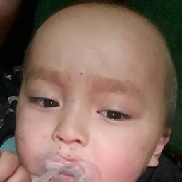 ����, �����������, 33 ����