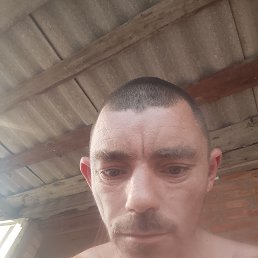 ����, 39 ���, ����