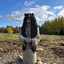 ���� �������, ����������� - ��������� 13 ������ 2026 � ������ ���� ����������