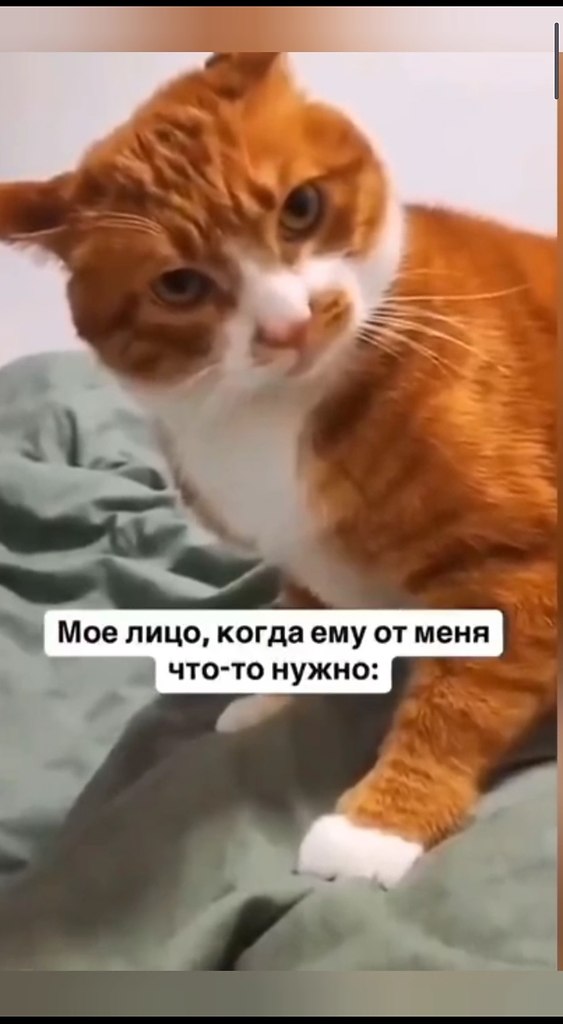 � ����� ������� �� �������� ������� ������ � ����� ������
