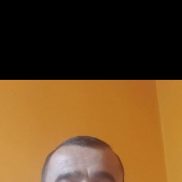 , 46 , 