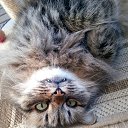 ���� ����, ��������� - ��������� 24 ������ 2024 � ������ ���� ����������