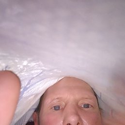 , 44, 
