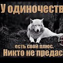 ���� ���������, ����������, 84 ���� - ��������� 5 ������� 2026 � ������ ���� ����������