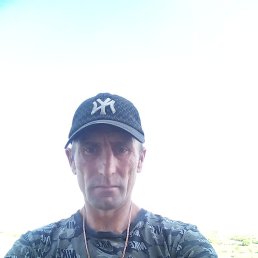 ������, ������, 41 ���