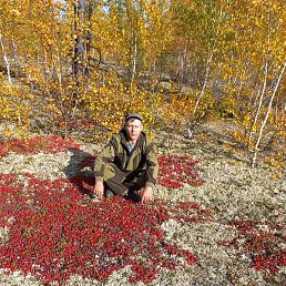 ������, ����� �������, 55 ���