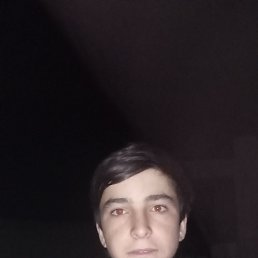, 26, 